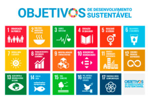 17 Objetivos de Desenvolvimento Sustentável que são importantes para ESG